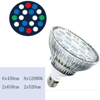 E27 LED Light Aquarium 54W Led Aquarium Light PAR38 Coral Reefs Tank Fish Lamp Bulb Blue Cold White
E27 LED Light Aquarium 54W Led Aquarium Light PAR38 Coral Reefs Tank Fish Lamp Bulb Blue Cold White