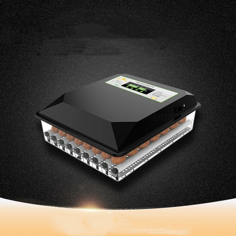 Automatic Small Household Type Mini Incubator Small Egg Hatching Box Chicken Duck Goose Incubatorincubadora couveuse
Automatic Small Household Type Mini Incubator Small Egg Hatching Box Chicken Duck Goose Incubatorincubadora couveuse
