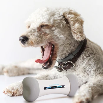 Wickedbone Pet Dog Crazy Bone Intelligent Remote Control Cat And Dog Universal Anti-boredom Artifact Interactive Toy Dog Toys
Wickedbone Pet Dog Crazy Bone Intelligent Remote Control Cat And Dog Universal Anti-boredom Artifact Interactive Toy Dog Toys