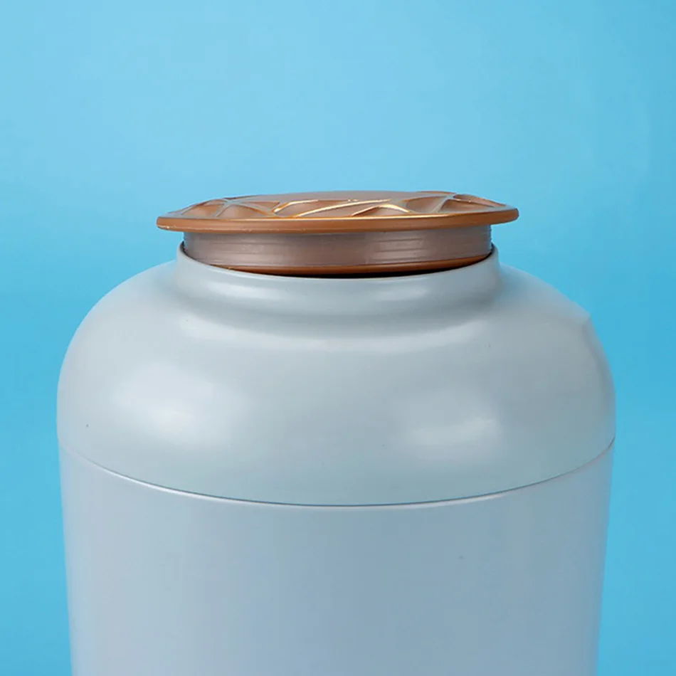 tin box (5)