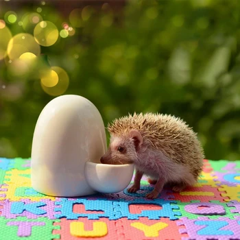 Small Animal Automatic Ceramic Water Bottle Silent Little Pet Drinking Bottle Food Dispenser
Small Animal Automatic Ceramic Water Bottle Silent Little Pet Drinking Bottle Food Dispenser