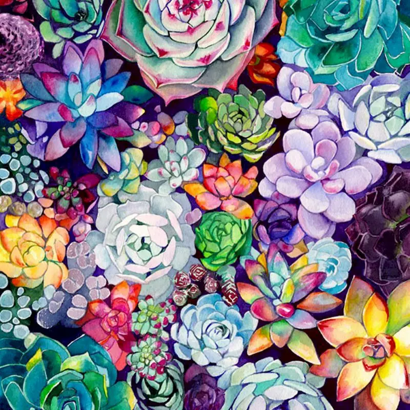 DIY Painting By Numbers Kits Colorful Succulent Flowers Acrylic Paint By Numbers For Adult Home Decor DIY Painting By Numbers Kits Colorful Succulent Flowers Acrylic Paint By Numbers For Adult Home Decor