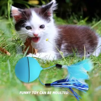 Kitten Cat USB Electric Toy LED Glow Ball Toy Multi-function Laser Controls Light and Spheres with Feathers Teaser Pet Supplies
Kitten Cat USB Electric Toy LED Glow Ball Toy Multi-function Laser Controls Light and Spheres with Feathers Teaser Pet Supplies