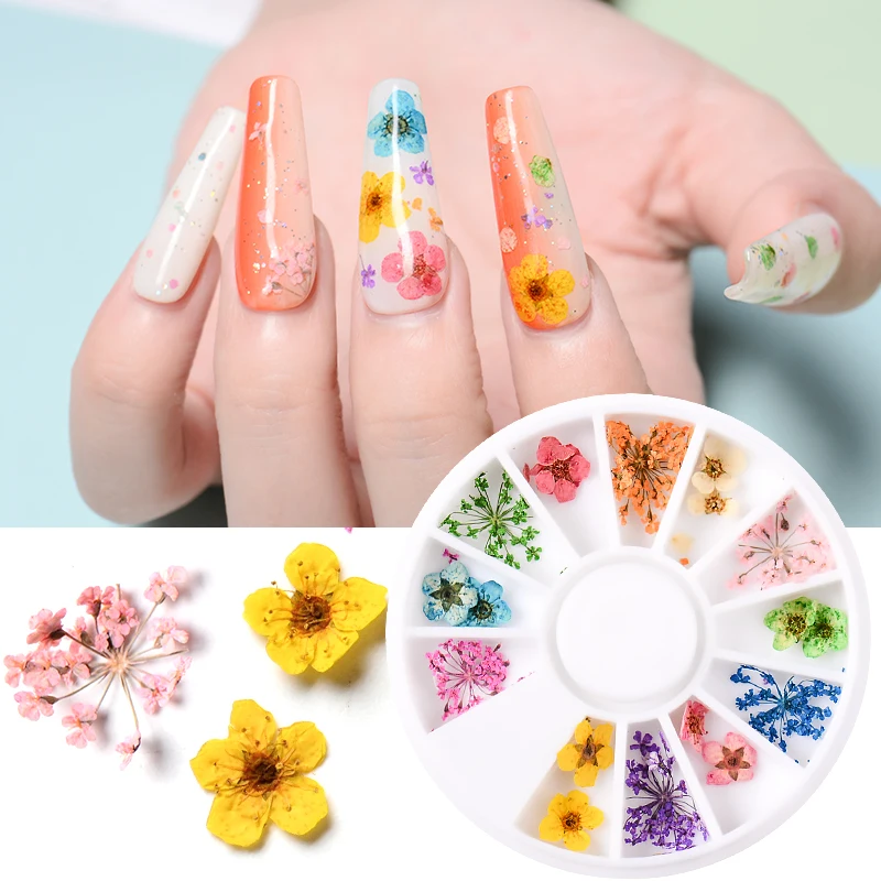 12 Colors Dried Flower for Nail Art Decorations Natural Real Flowers Dry Stick UV Gel Acrylic Tips Wheel | Красота и здоровье