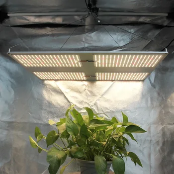 IDEA GROW led grow light Full spectrum VP 480W indoor plant hydroponic system led growing light Grow tent and Grow Lights Panel
IDEA GROW led grow light Full spectrum VP 480W indoor plant hydroponic system led growing light Grow tent and Grow Lights Panel