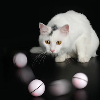 Smart Interactive Cat Toy Pet Cat Toys LED Glowing Funny Cat Ball Electric Rolling Ball USB Rechargeable Cat Toy
Smart Interactive Cat Toy Pet Cat Toys LED Glowing Funny Cat Ball Electric Rolling Ball USB Rechargeable Cat Toy