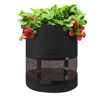 Diy Plant Seedling Grow Bags Thicken Potato Growplanter Feltcloth Planting Container Bag Garden Pot Breathable Growing Box Bags
Diy Plant Seedling Grow Bags Thicken Potato Growplanter Feltcloth Planting Container Bag Garden Pot Breathable Growing Box Bags