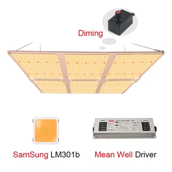 Qb Led Grow Light Full Spectrum Board Samsung 600W V4 Quantum Lm301b/h 660nm UV IR Water Proof Flower Lights Plant Complete Kit
Qb Led Grow Light Full Spectrum Board Samsung 600W V4 Quantum Lm301b/h 660nm UV IR Water Proof Flower Lights Plant Complete Kit