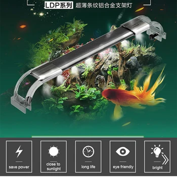 Sunsun LDP Light Aquarium Water Plant Fish Tank Lamp Matte Black Super Transparent Bright
Sunsun LDP Light Aquarium Water Plant Fish Tank Lamp Matte Black Super Transparent Bright