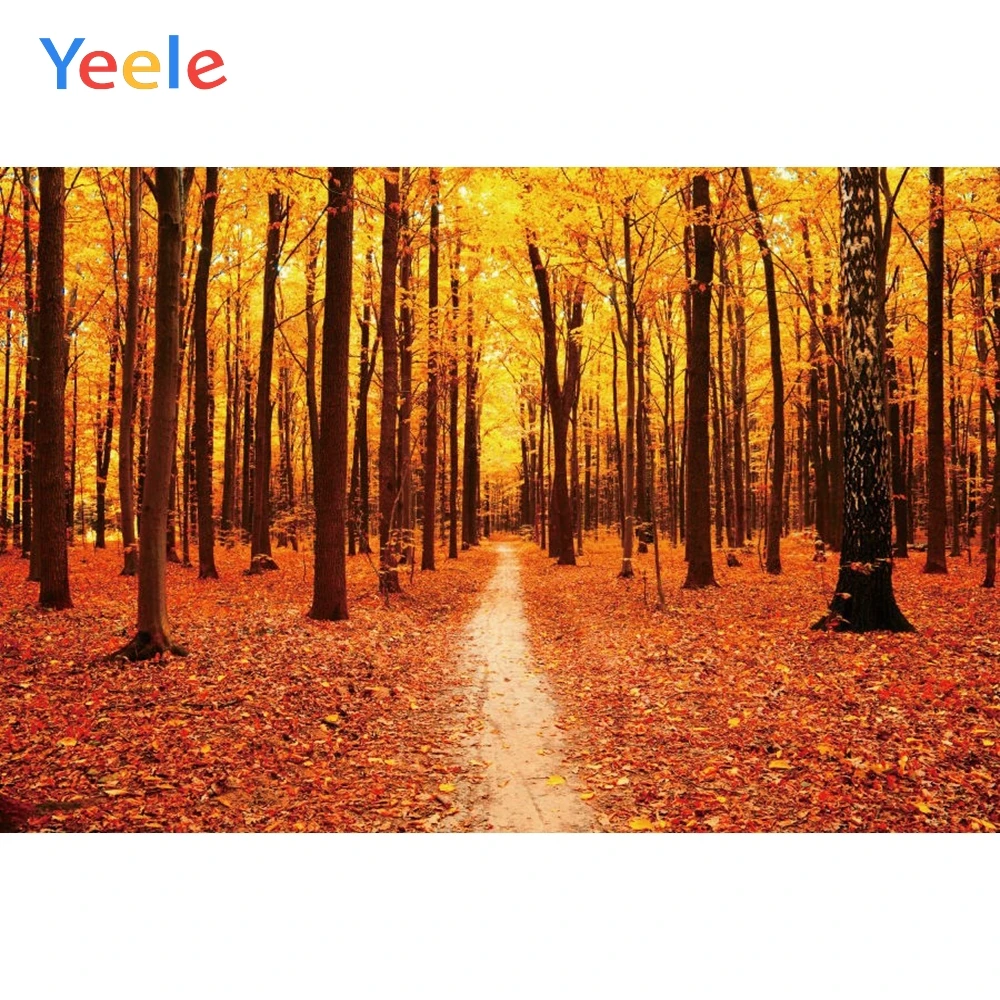 Autumn Tree Yellow Leaves Forest Backdrop Nature Scenery Vinyl Photography Background For Photo Studio Photophone Photocall
Autumn Tree Yellow Leaves Forest Backdrop Nature Scenery Vinyl Photography Background For Photo Studio Photophone Photocall
