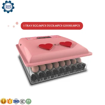 Popular Profession eggs incubator for sale /ISO approved poultry chicken hatchery machine/egg incubator hatchery
Popular Profession eggs incubator for sale /ISO approved poultry chicken hatchery machine/egg incubator hatchery