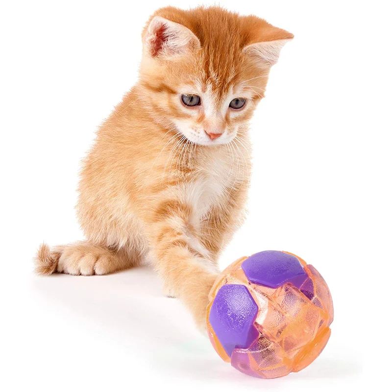 Pet Toy Training Toy Running Ball Bite Resistant Elastic Ball Molar Interactive Ball Pet Chew Toy Training Pet Supplies Product
Pet Toy Training Toy Running Ball Bite Resistant Elastic Ball Molar Interactive Ball Pet Chew Toy Training Pet Supplies Product