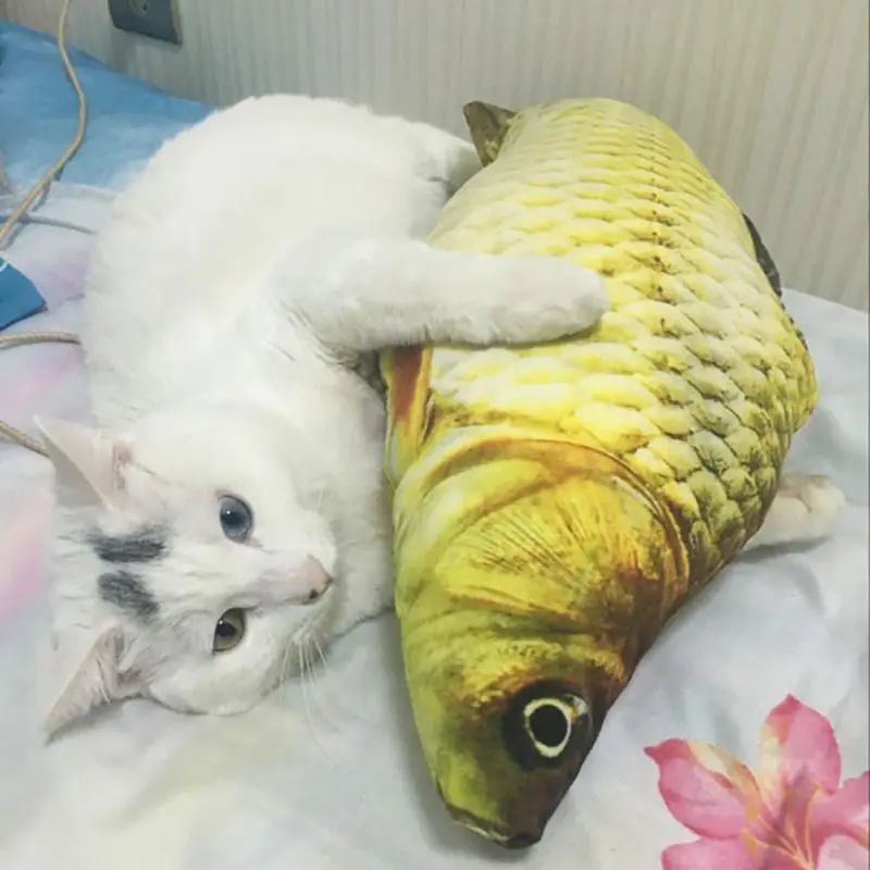 2020 Newest Hot 1PCS Grass Carp Fish Shape Pet Kitten Interactive Cats Chewing Toys Play Fun Toy