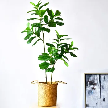 122cm Fake Tropical Tree Artificial Ficus Plants Branch Plastic Rubber Tree Real Touch Leaves Bonsai Tree Foliage Indoor Decor
122cm Fake Tropical Tree Artificial Ficus Plants Branch Plastic Rubber Tree Real Touch Leaves Bonsai Tree Foliage Indoor Decor