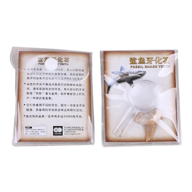 XOC3070 (1)