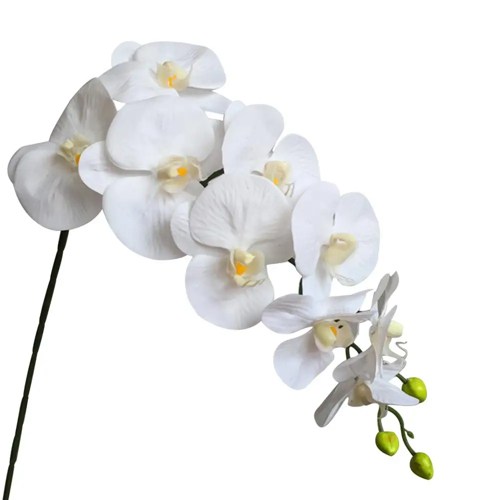 9 White Artificial Phalaenopsis Flower Decorative Real Touch Orchid Latex Orchids for Home Decoration Wedding Hotel
9 White Artificial Phalaenopsis Flower Decorative Real Touch Orchid Latex Orchids for Home Decoration Wedding Hotel