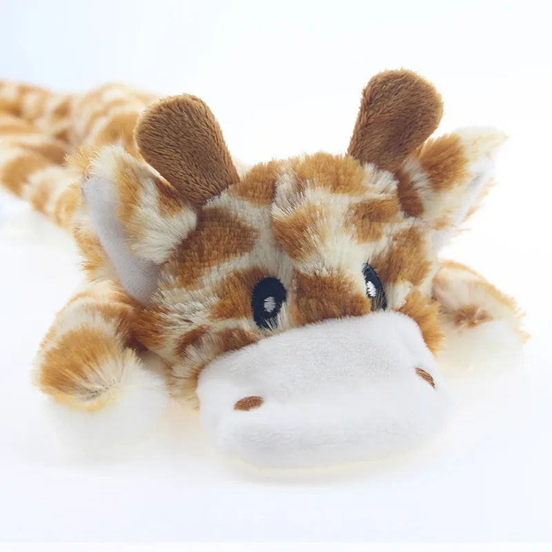 pet dog toys