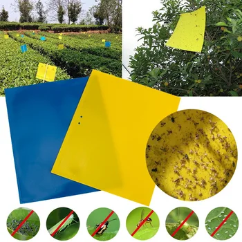 10 Piece Double-Sided Yellow Sticky Trap Flies Trap Wooden Board Stick For Insect Catch Insecticide Pest Control Glue Sticker
10 Piece Double-Sided Yellow Sticky Trap Flies Trap Wooden Board Stick For Insect Catch Insecticide Pest Control Glue Sticker