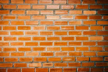 SHENGYONGBAO Vinyl Digital Printed Backdrops for Photography Brick wall theme Photo Studio Background SZ-100
SHENGYONGBAO Vinyl Digital Printed Backdrops for Photography Brick wall theme Photo Studio Background SZ-100
