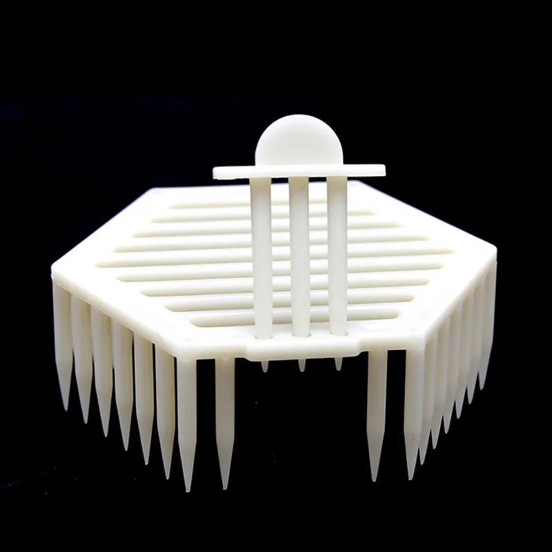 10pcs Multi functional hexagonal queen bee cage Queen bee cage Queen of savings Beekeeping tools Plastic queen bee cage
10pcs Multi functional hexagonal queen bee cage Queen bee cage Queen of savings Beekeeping tools Plastic queen bee cage