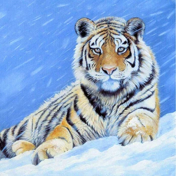 DIY 5D Diamond Painting Tiger Diamond Embroidery Animals Patterns Rhinestones Arts Cross Stitch Full Round Mosaic Home Decor
DIY 5D Diamond Painting Tiger Diamond Embroidery Animals Patterns Rhinestones Arts Cross Stitch Full Round Mosaic Home Decor
