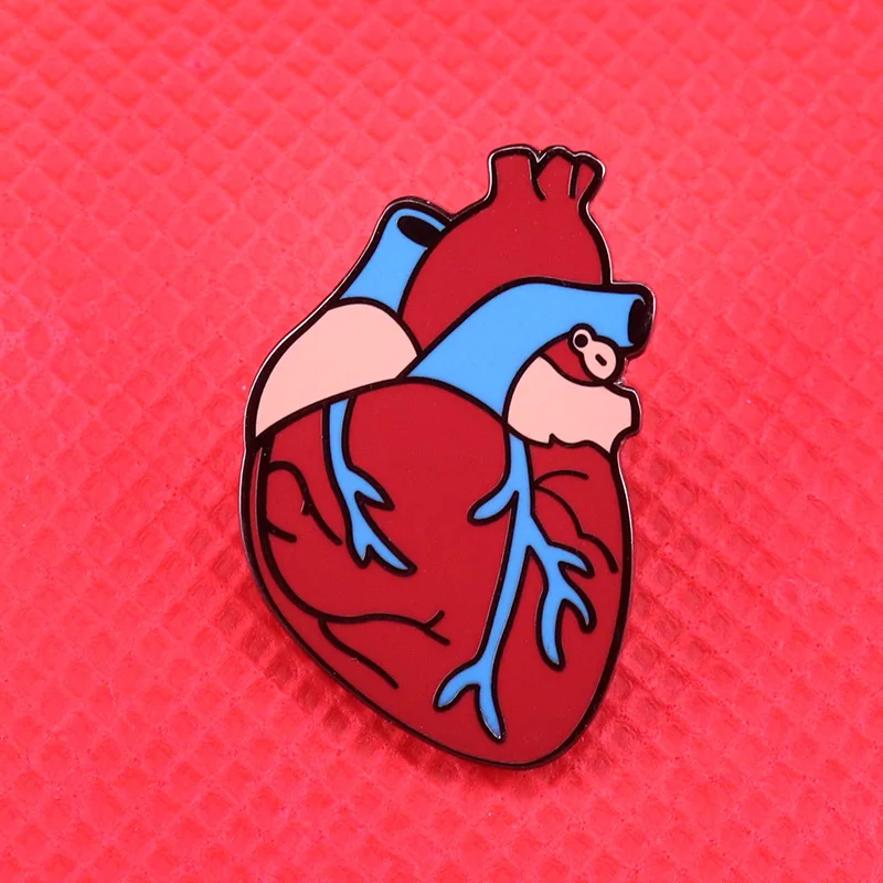 Фото Анатомическая эмалевая брошь в форме сердца виде анатомии подарок доктору и