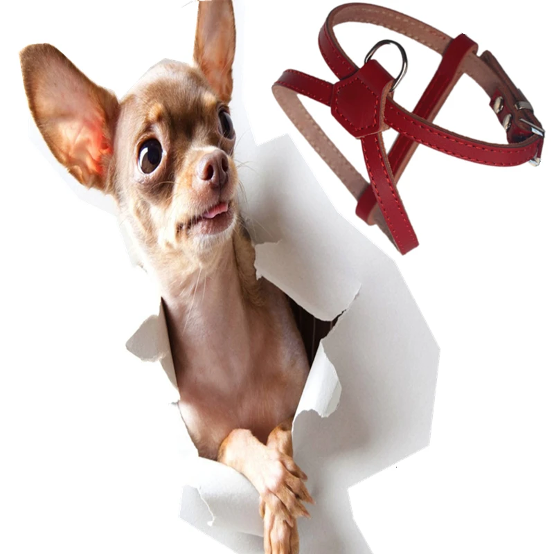 Pet Dog Harness Small Breakaway Safety Quick Release Dog Harness Ves High Quality Solid Pure Cowhide Genuine Leather Material
Pet Dog Harness Small Breakaway Safety Quick Release Dog Harness Ves High Quality Solid Pure Cowhide Genuine Leather Material