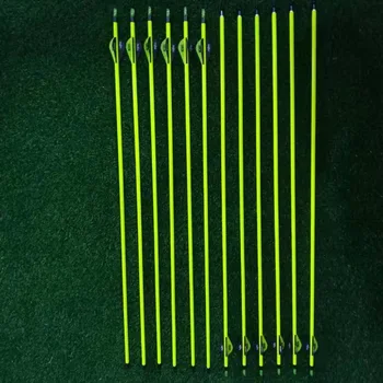 Archery Hunting 31" Pure Carbon Arrows 2" Plastic Feather Replaceable Tips Spine 300 for Compound/Recurve Bows
Archery Hunting 31" Pure Carbon Arrows 2" Plastic Feather Replaceable Tips Spine 300 for Compound/Recurve Bows