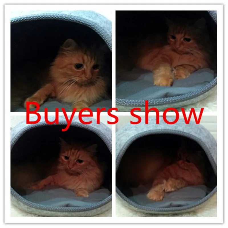 H7c2b17db37d847b69cfe8b791500db68u