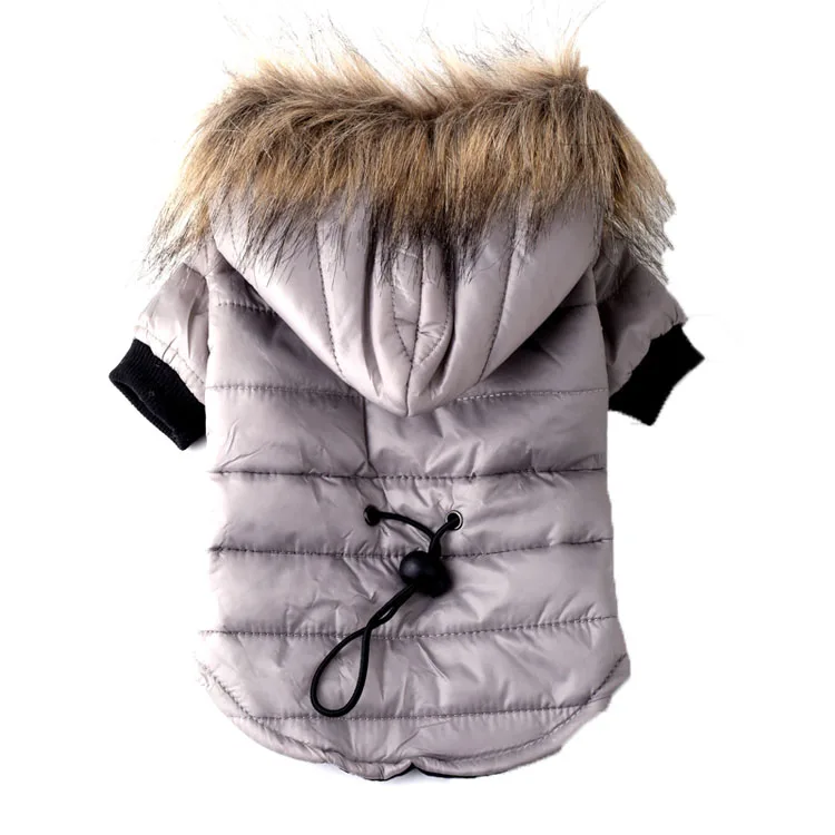 dog clothes for small dogs