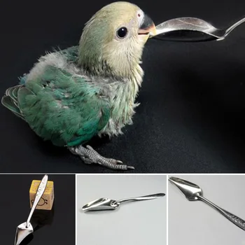 Hot Sale Stainless Steel Spoon Milk Powder Feeding Pet Parrot Chicks Spoon Funny Practical Feeding Spoon Bird Parrot Supplies
Hot Sale Stainless Steel Spoon Milk Powder Feeding Pet Parrot Chicks Spoon Funny Practical Feeding Spoon Bird Parrot Supplies
