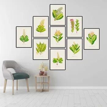 Home Decoration Print Canvas Wall art poster paintings Retro Green plant leaves Serise 8 Light green leaf some samll flowers 
Home Decoration Print Canvas Wall art poster paintings Retro Green plant leaves Serise 8 Light green leaf some samll flowers