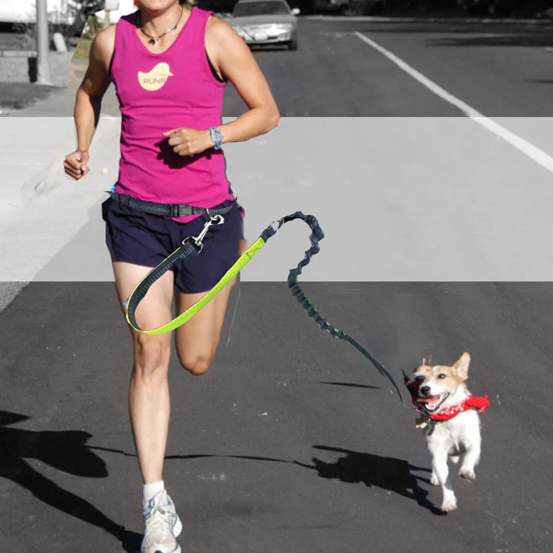New Dogs Leash Running Elastic Hand Freely Pet Dogs Harness Collar Jogging Lead and Adjustable Waist Rope Waist Leash #h
New Dogs Leash Running Elastic Hand Freely Pet Dogs Harness Collar Jogging Lead and Adjustable Waist Rope Waist Leash #h