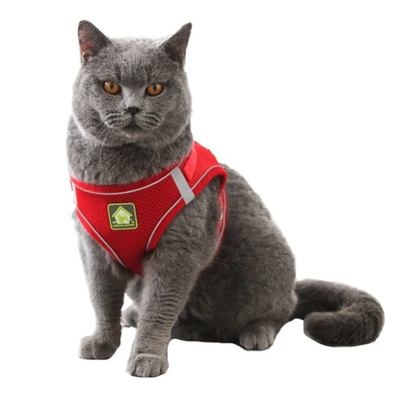 Reflective Breathable Dog Chain Leash For Cats And Dogs Chest Strap Pet Adjustable Reflective Vest Walking Lead Dog Harness
Reflective Breathable Dog Chain Leash For Cats And Dogs Chest Strap Pet Adjustable Reflective Vest Walking Lead Dog Harness