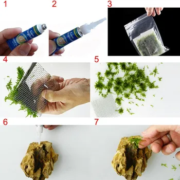 1Pc Water Plant Glue Cyanoacrylate Special Formula Adhesive Aquarium Mxbon Super Glue Gel
1Pc Water Plant Glue Cyanoacrylate Special Formula Adhesive Aquarium Mxbon Super Glue Gel