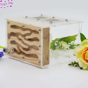 wooden Ant Nest Acrylic Insect Villa Workshop Kids Technology Class Device Biolgy Study Toys 15*14*10cm 
wooden Ant Nest Acrylic Insect Villa Workshop Kids Technology Class Device Biolgy Study Toys 15*14*10cm