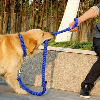 Double Strand Rope Large Dog Leashes Upgraded Colorful Collar Stereotyped Rope Pet Traction Rope Collar Set for Big Dogs
Double Strand Rope Large Dog Leashes Upgraded Colorful Collar Stereotyped Rope Pet Traction Rope Collar Set for Big Dogs