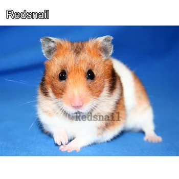5D Needlework Diamond Painting Guinea pig cute pet Cross Stitch Beadwork Embroidery Diamond Mosaic Home Decoration art TT323
5D Needlework Diamond Painting Guinea pig cute pet Cross Stitch Beadwork Embroidery Diamond Mosaic Home Decoration art TT323