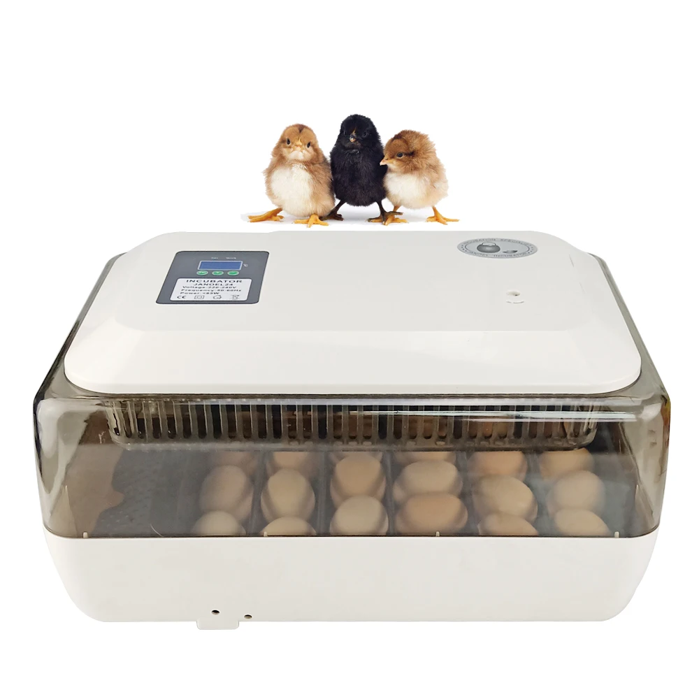 Mini 24 Chicken Duck Quail Egg Incubator Automatic Digital Temperature Control Brooder
Mini 24 Chicken Duck Quail Egg Incubator Automatic Digital Temperature Control Brooder