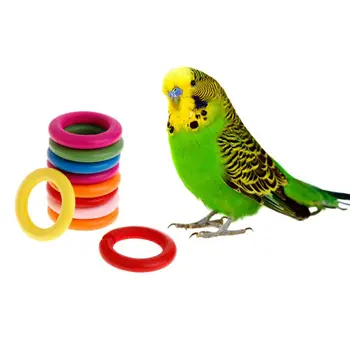 10 Pcs/Set Wooden Ring Parrot Toys Bite Chew Play Natural Colorful Rings Decoration Birds Parakeet Toy DIY Accessories
10 Pcs/Set Wooden Ring Parrot Toys Bite Chew Play Natural Colorful Rings Decoration Birds Parakeet Toy DIY Accessories