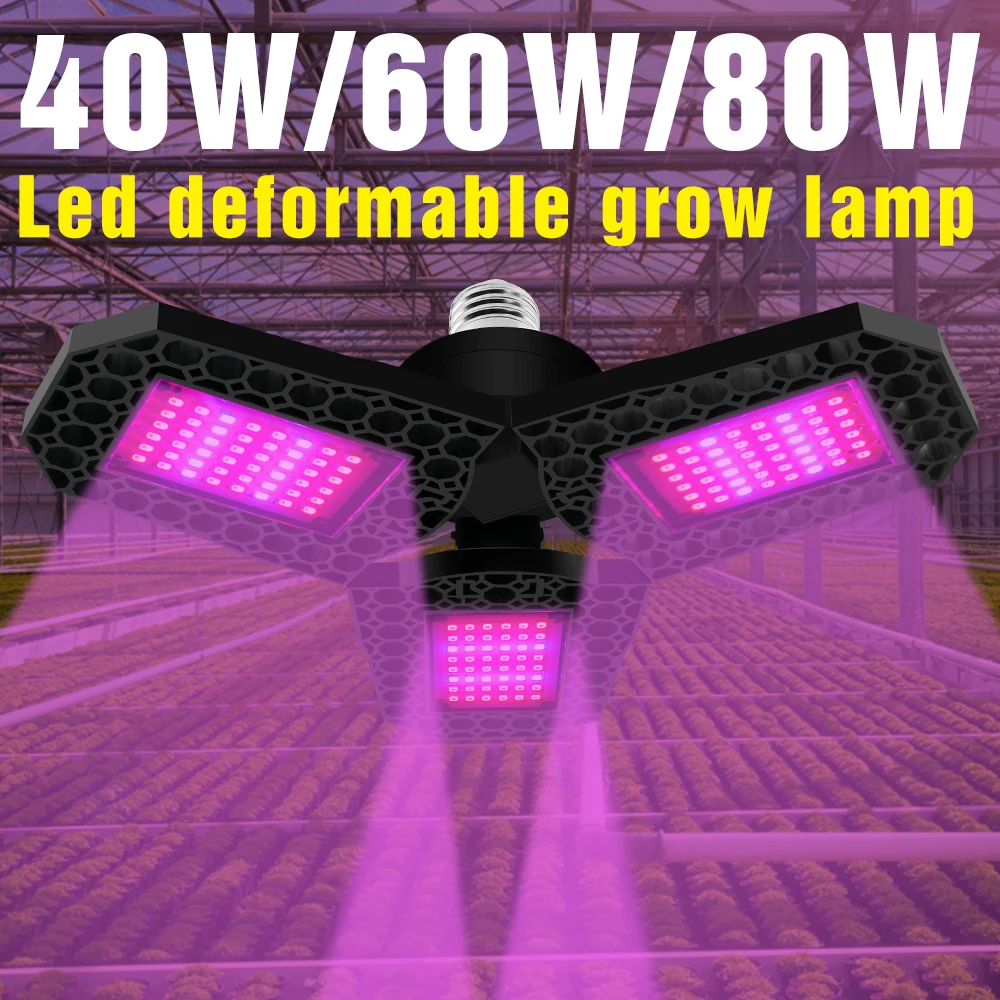 40W 60W 80W Full Spectrum Phyto Light Bulb LED E27 Garden Cultivation Fitolampy 220V Control Plant Grow Tent E26 Lampara Bulb
40W 60W 80W Full Spectrum Phyto Light Bulb LED E27 Garden Cultivation Fitolampy 220V Control Plant Grow Tent E26 Lampara Bulb
