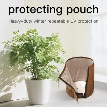 Heavy-duty Winter Repeatable Pot Protection Bag UV Protection Universal Bio Green Kettle Protection Pot Decoration
Heavy-duty Winter Repeatable Pot Protection Bag UV Protection Universal Bio Green Kettle Protection Pot Decoration