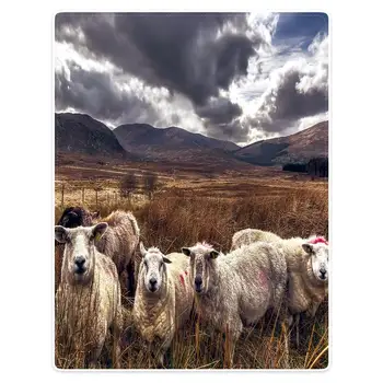 HommomH 150x200 cm blanket soft flannel soft and comfortable sofa mountain sheep pattern
HommomH 150x200 cm blanket soft flannel soft and comfortable sofa mountain sheep pattern