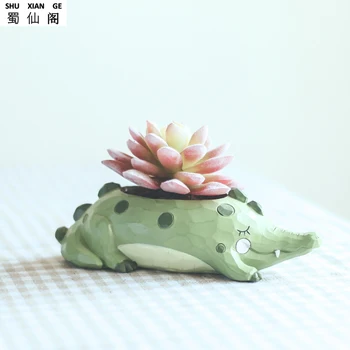 Creative Cartoon Animal Succulent Plants, the Flower-Pots with the Personality Cute Whale Micro Landscape Pot Decoration
Creative Cartoon Animal Succulent Plants, the Flower-Pots with the Personality Cute Whale Micro Landscape Pot Decoration