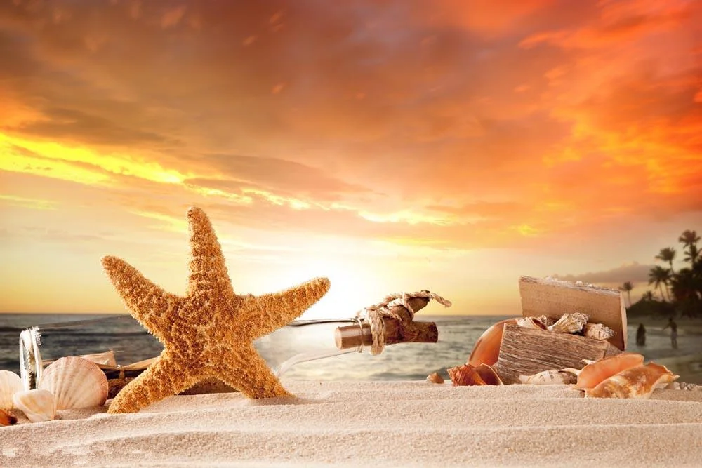SHUOZHIKE Vinyl Custom Photography Prop Starfish Beach theme Photo Studio Background T19912-2105
SHUOZHIKE Vinyl Custom Photography Prop Starfish Beach theme Photo Studio Background T19912-2105