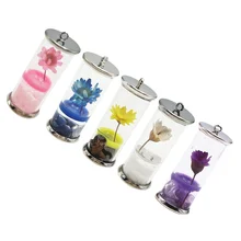 5pcs Dried Flower Pendant DIY Charm Accessories for Key Chain Necklace
5pcs Dried Flower Pendant DIY Charm Accessories for Key Chain Necklace