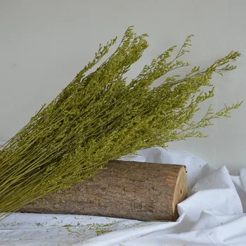 A Bunch Valentine's Grass Dried Flower Handmade Natural Plants True Flower Materials Floral Arrangement Decor 
A Bunch Valentine's Grass Dried Flower Handmade Natural Plants True Flower Materials Floral Arrangement Decor
