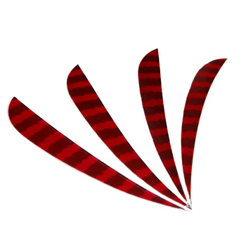 10 Pieces 5 Inch Shot On The Plate Archery Feather Flechting Left Cat Shape Tear Increase Speed for Outdoor Hunting Shooting
10 Pieces 5 Inch Shot On The Plate Archery Feather Flechting Left Cat Shape Tear Increase Speed for Outdoor Hunting Shooting