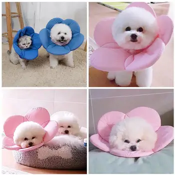 Flower Pattern Pet Cats Dogs Elizabethan Collar Recovery Elizabethan Collar Cone Pet Protective Cover Z3D0
Flower Pattern Pet Cats Dogs Elizabethan Collar Recovery Elizabethan Collar Cone Pet Protective Cover Z3D0