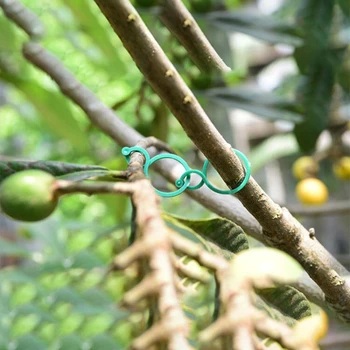 100/50/20 PCS Plant Support Garden Clips Trellis for Vine Vegetable Tomato To Grow Upright Garden Plant Stand
100/50/20 PCS Plant Support Garden Clips Trellis for Vine Vegetable Tomato To Grow Upright Garden Plant Stand